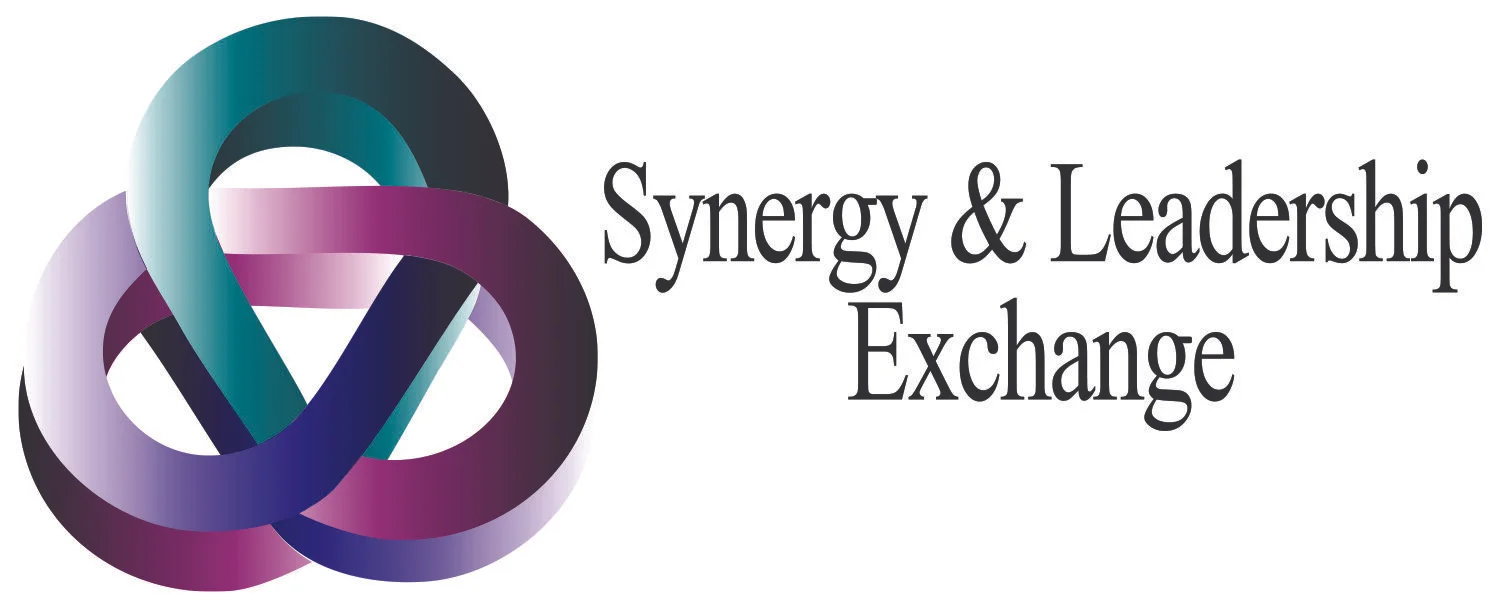 洋書 Synergy Matters Synergy+Leadership+Exchange+sm.jpg